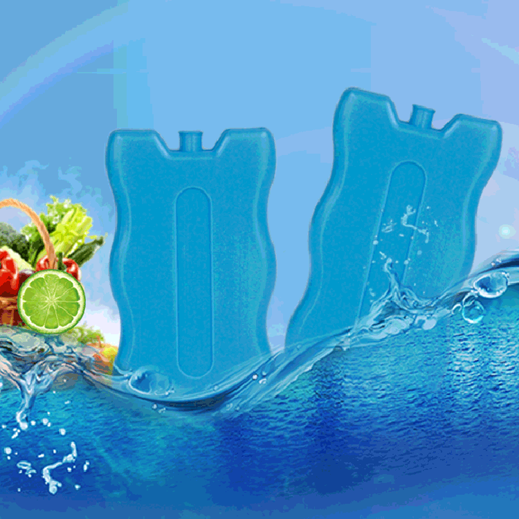 6 Pack Reusable Freezer Blocks Family Pack by Sterun – Daily House Holds